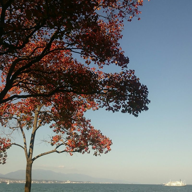 おごと温泉観光協会